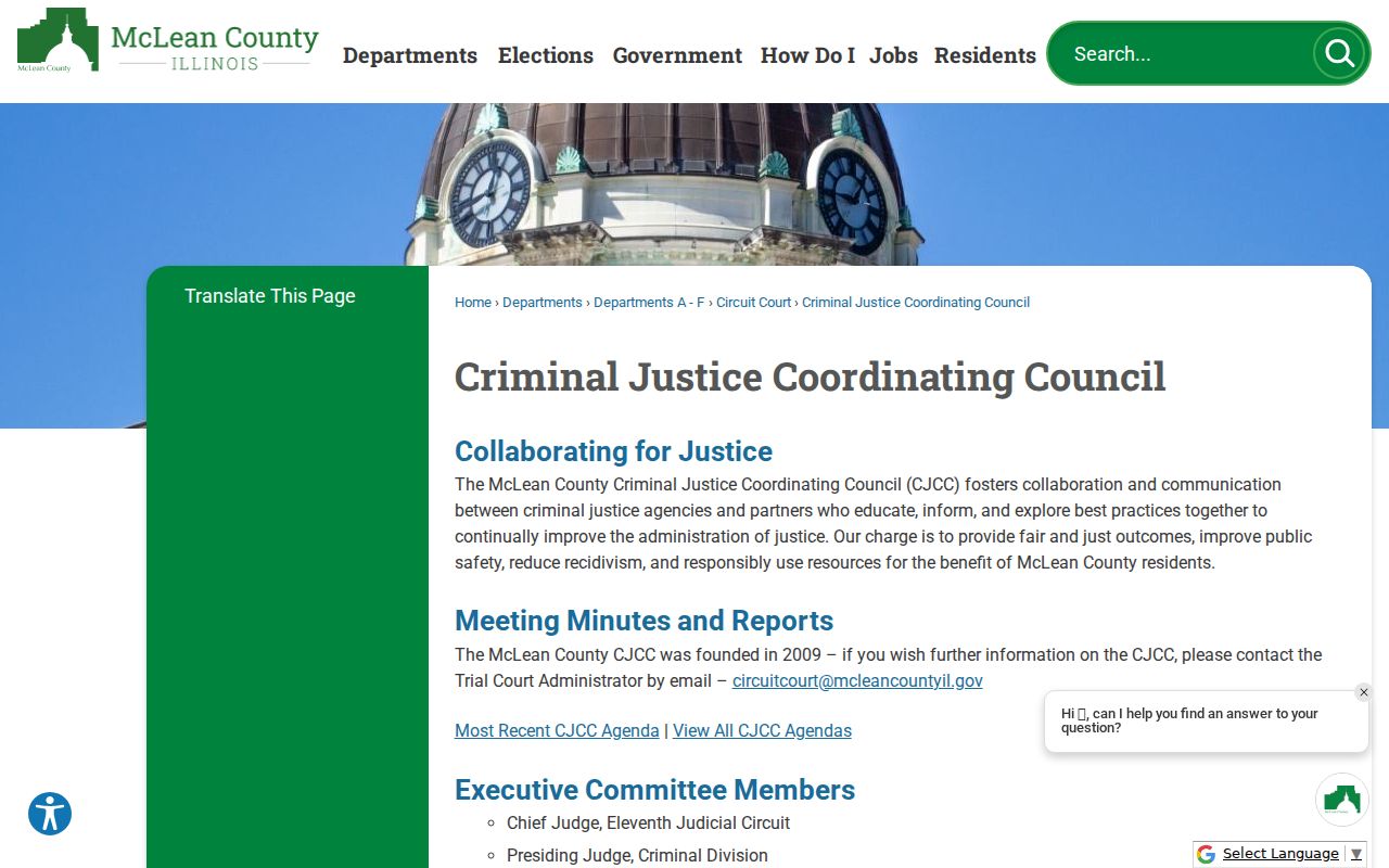 McLean County criminal justice coordinating council records